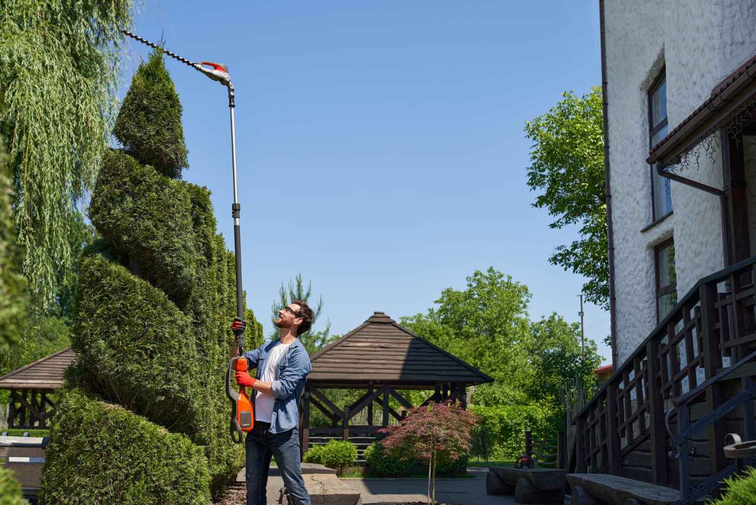 Best Emergency Tree Service  in Hawley, PA